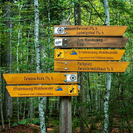 Grosser Arber, Wandern & Sauna, Gemuetliches Apartment Im Nationalpark Bayerischen Wald リントベルク エクステリア 写真