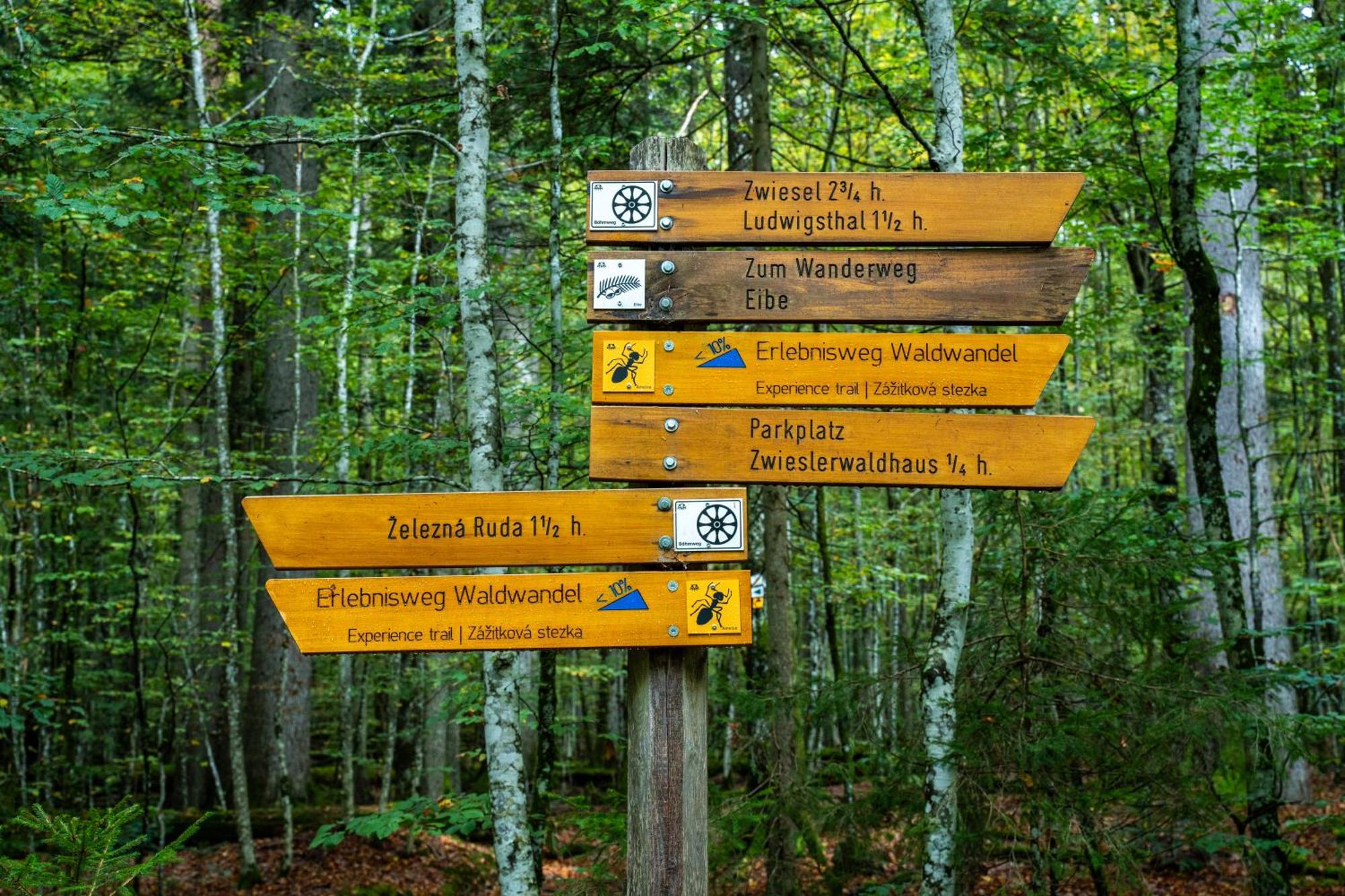 Grosser Arber, Wandern & Sauna, Gemuetliches Apartment Im Nationalpark Bayerischen Wald リントベルク エクステリア 写真
