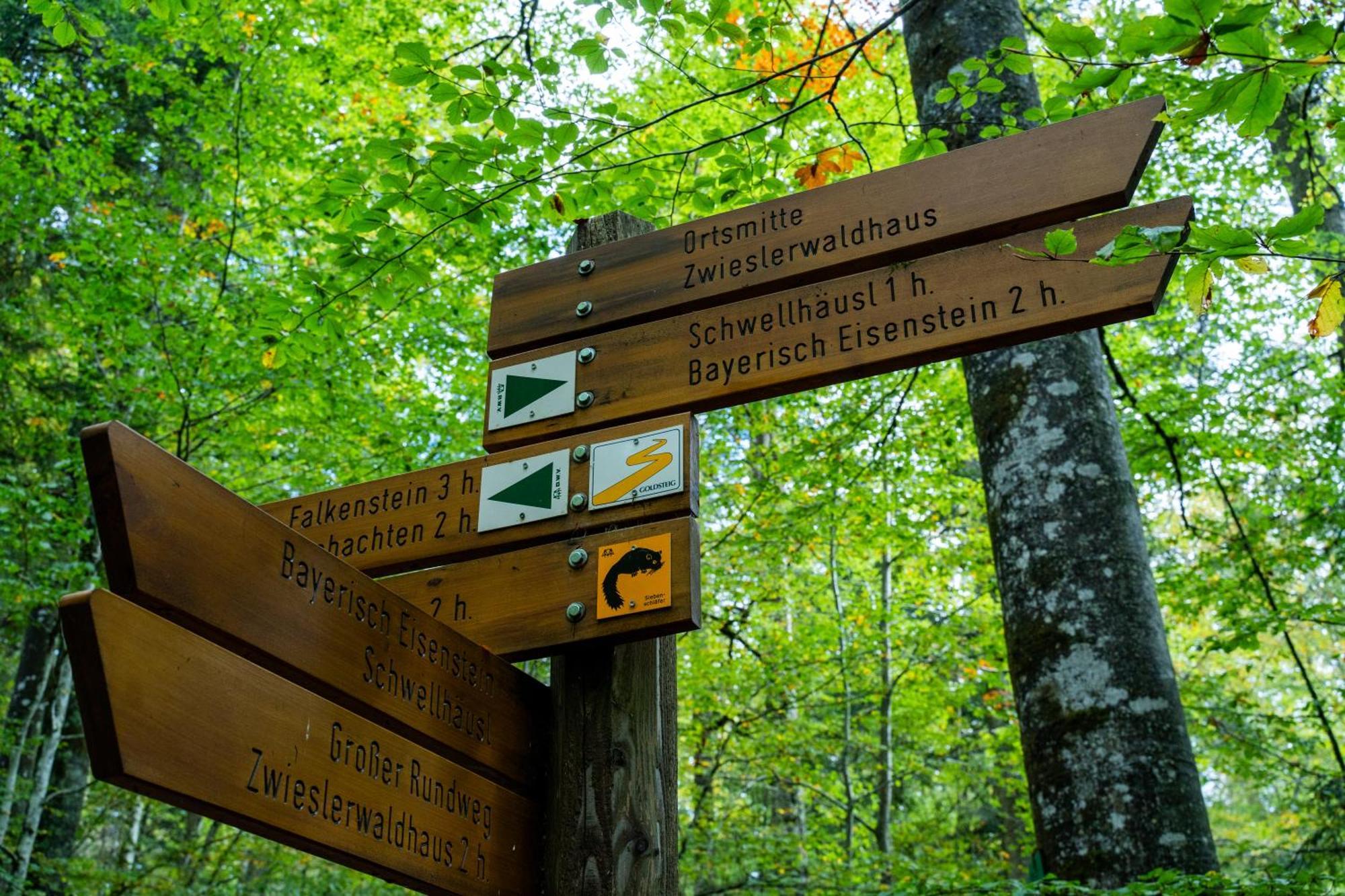 Grosser Arber, Wandern & Sauna, Gemuetliches Apartment Im Nationalpark Bayerischen Wald リントベルク エクステリア 写真